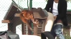Cô gái tuyệt đẹp yuki phần 1