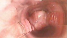 bên trong âm hộ trong cực khoái l7