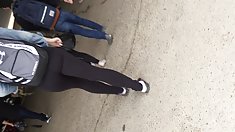 Thêm britts ass đi bộ