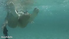 monellabella (dưới nước)