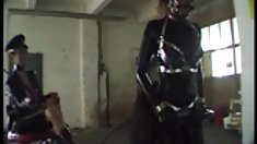 ponygirl 5