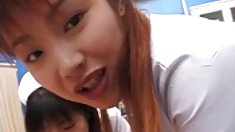 Saki và y tá khác hút cùng bệnh nhân gà