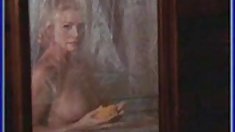 Shannon tweed